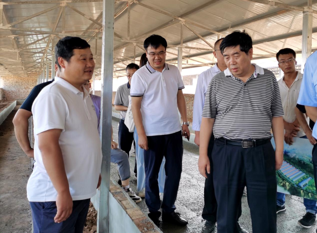 创新发展思路补齐发展短板,创新突破产业突围