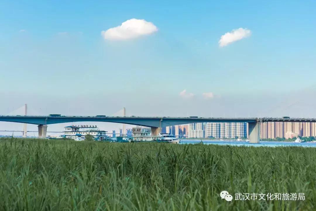 武汉一日游攻略必去十个景点免费,武汉一日游推荐景点介绍