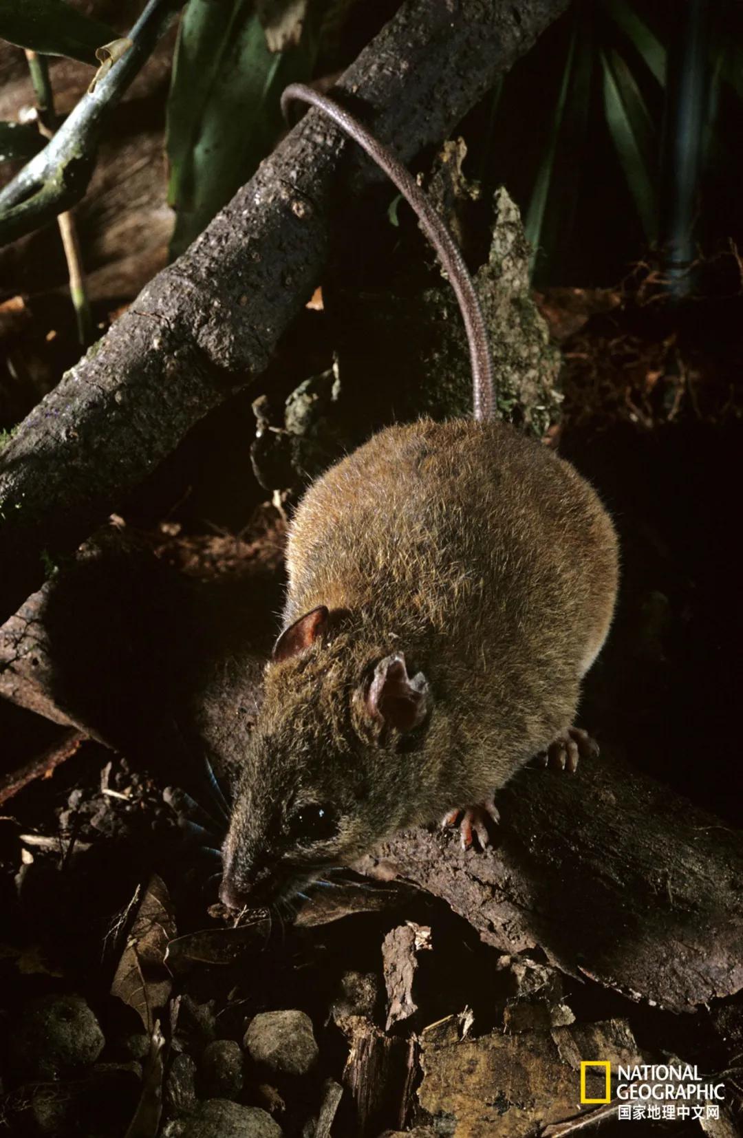 我们的地球很老了吗,地球还能再活几岁