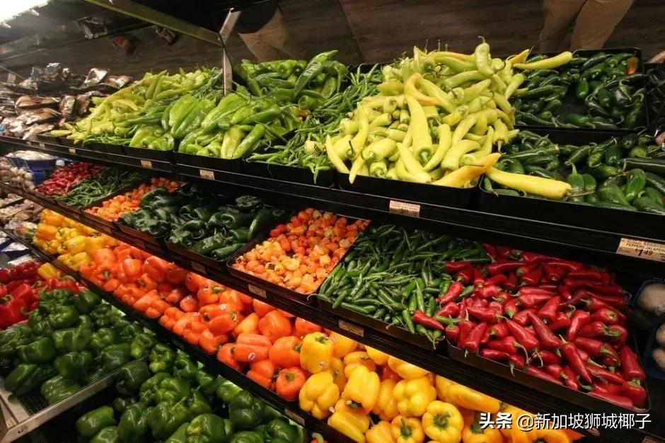 新加坡的生活知识,新加坡必备知识