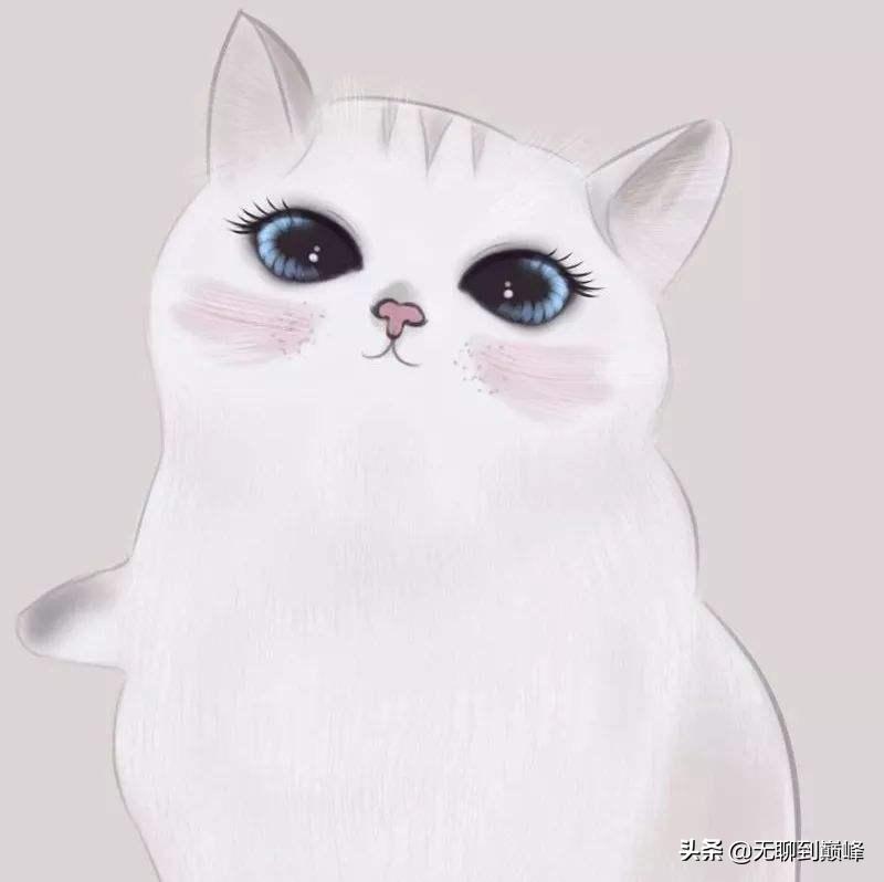 文艺录丨谈羌族“毒药猫”传说：女性的污化与社会集群的替罪羊