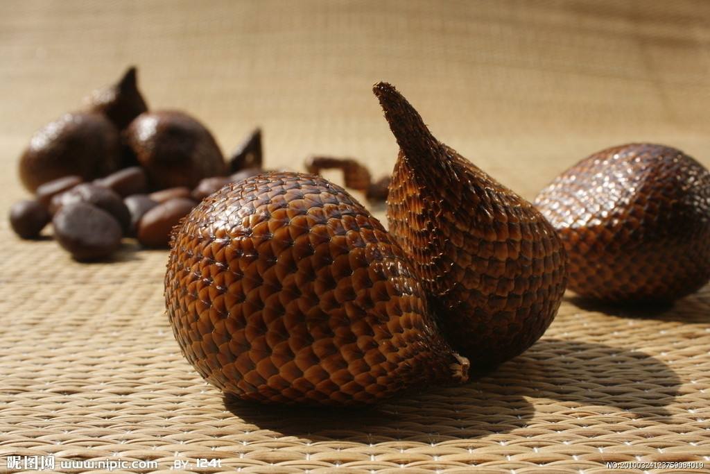 奇妙假日旅程,奇妙假期旅行版