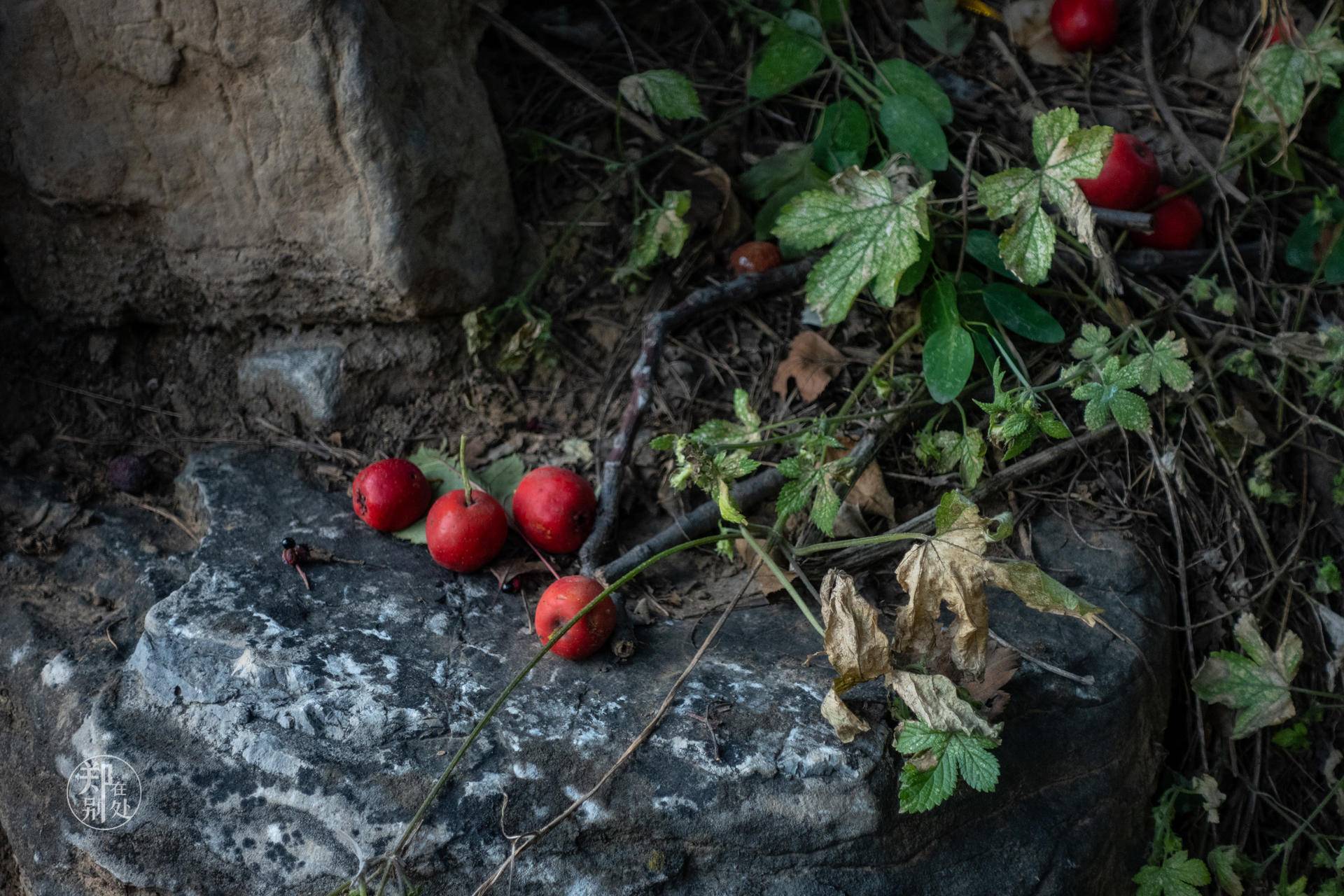 山西太行山攻略,山西太行山古村落自驾游