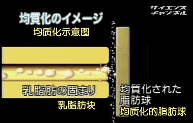 澳洲奶粉是真是假,澳洲最好的奶