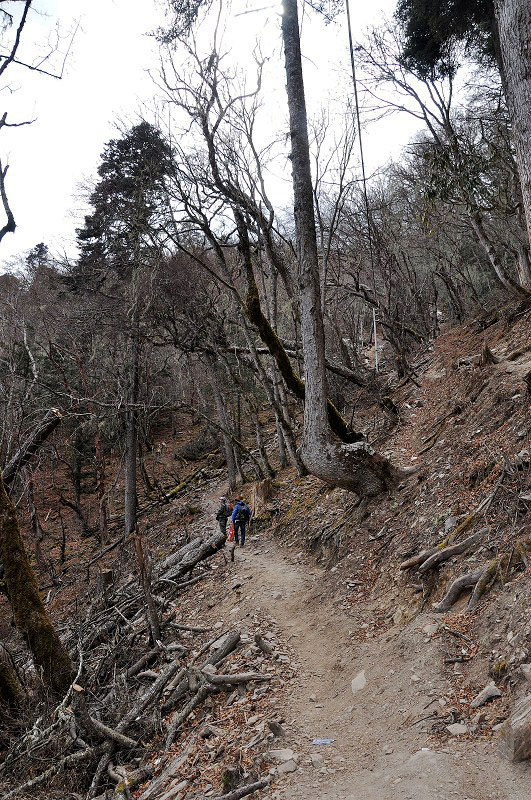 雪山脚下的雨崩村徒步,雨崩村徒步之旅