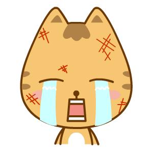 c位出道的城市有哪些,c位出道下一关