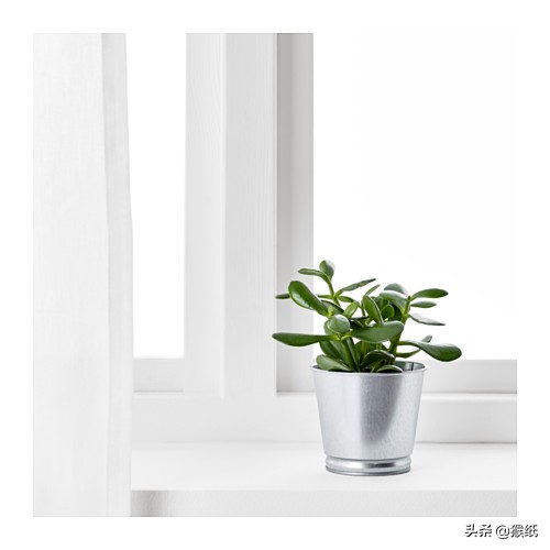 宜家ikea单品推荐,宜家最值得买的10件新品