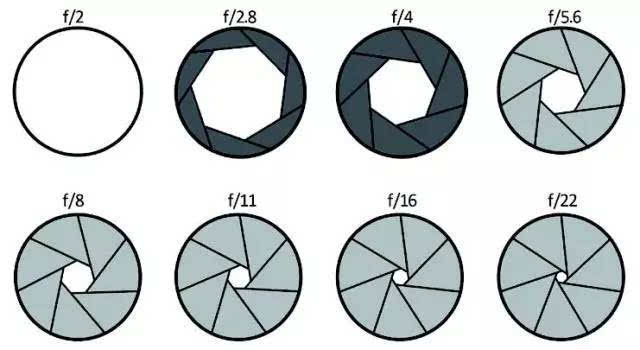 单反光圈优先摄影技巧,摄影新手入门基本知识6d