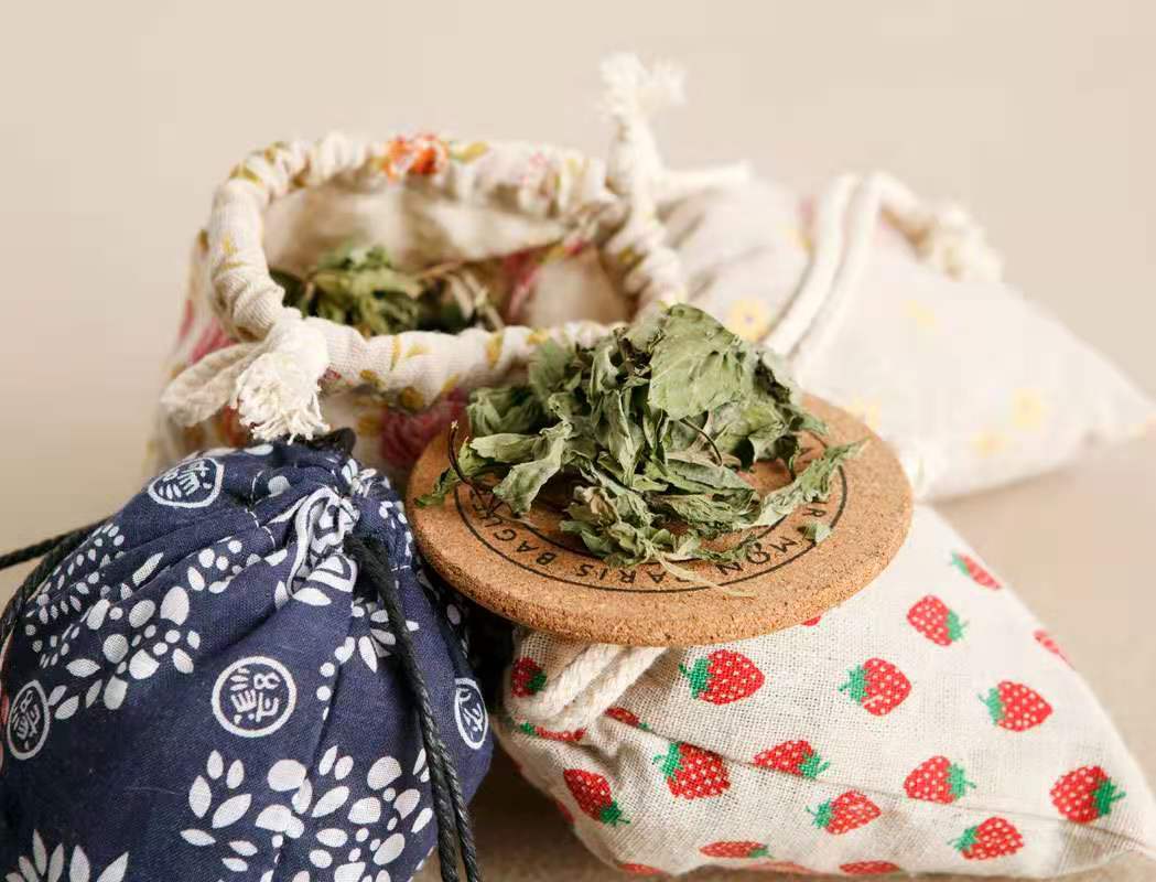 蚊子传播寨卡病毒吗,寨卡病毒可能没有症状吗