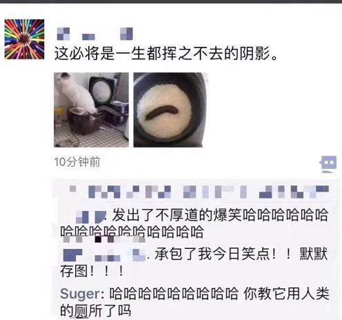 同学建群的搞笑段子,同学群聊天幽默搞笑段子