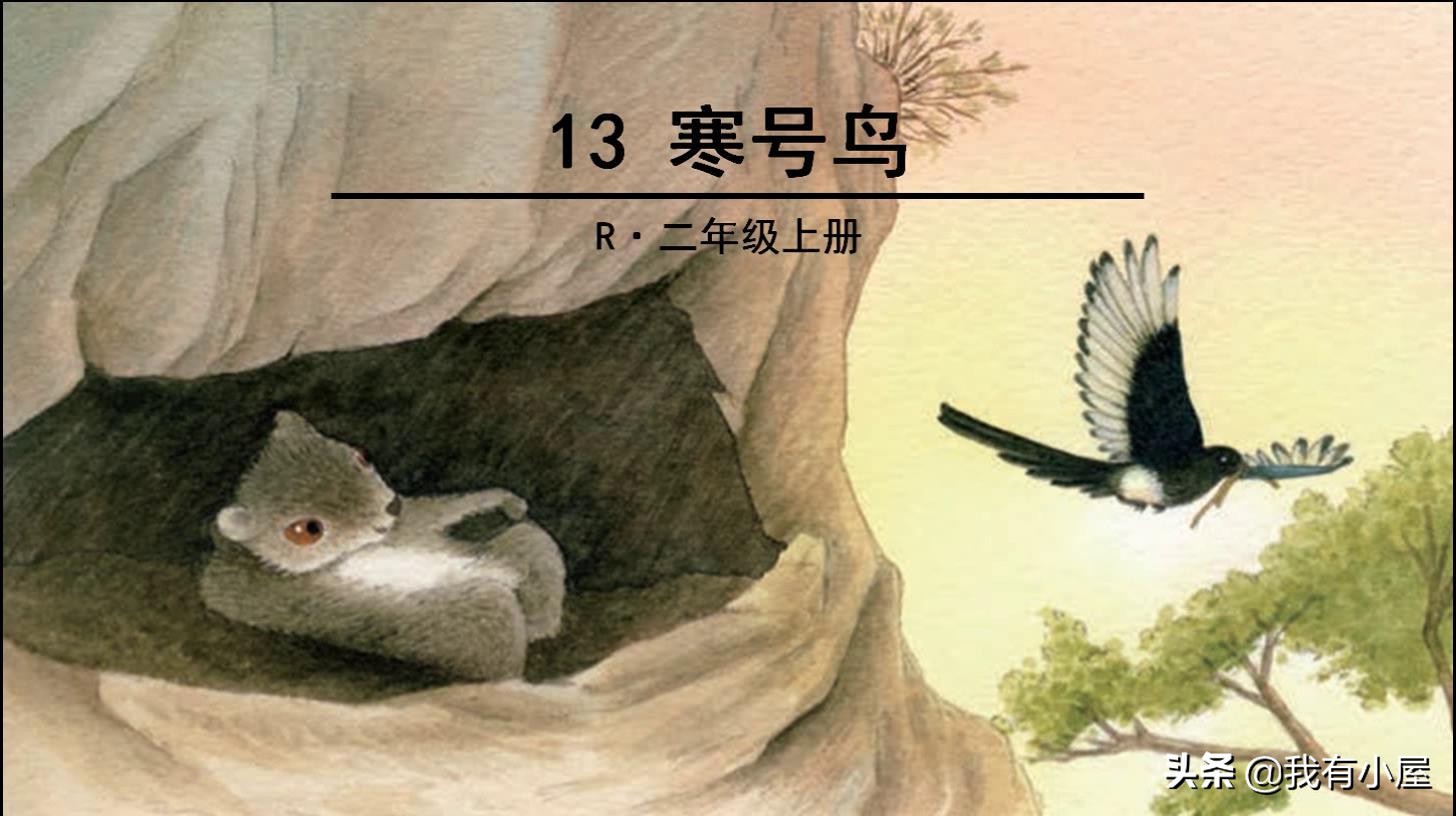 抓住这波红利实现人生逆袭,抓住当下属于你的红利期