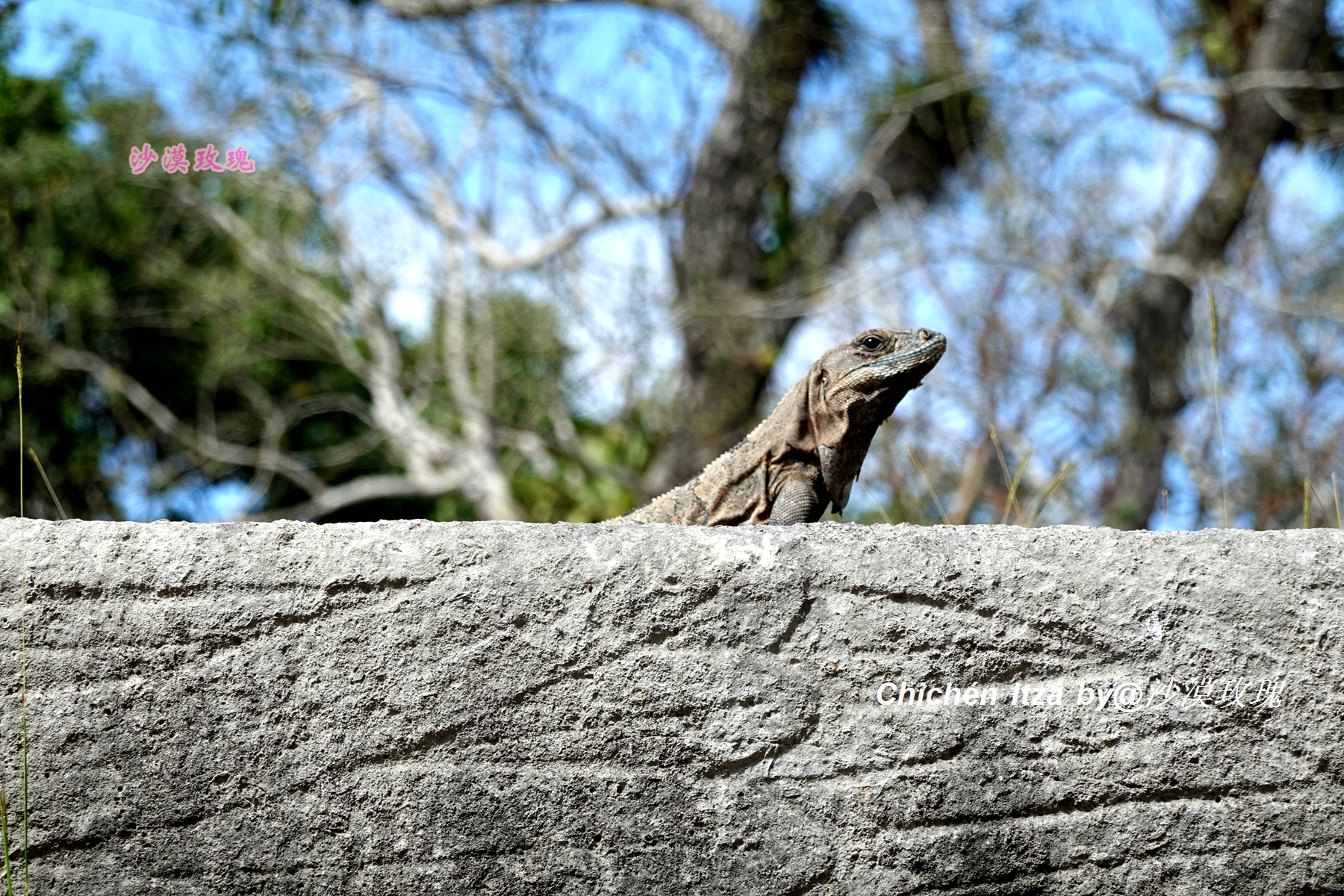 最血腥的一场足球赛,玛雅人的足球
