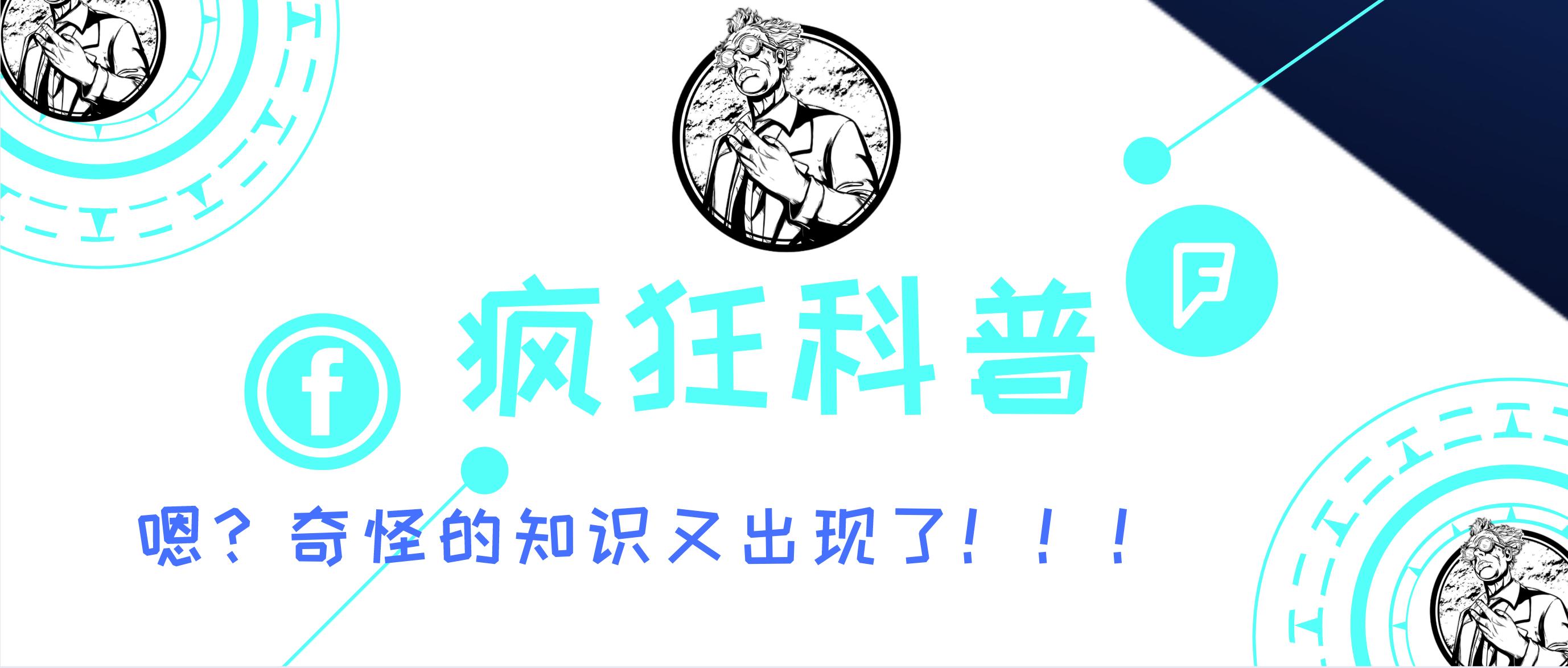 印度大爷徒手油锅炸薯条,印度大叔捕鱼完整视频