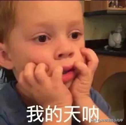 一招教你识别假代购,美国直邮代购是真是假