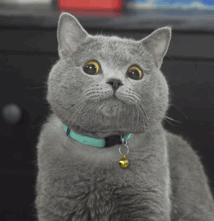 如何挑选拉丁舞服装,选拉丁舞服该怎么选