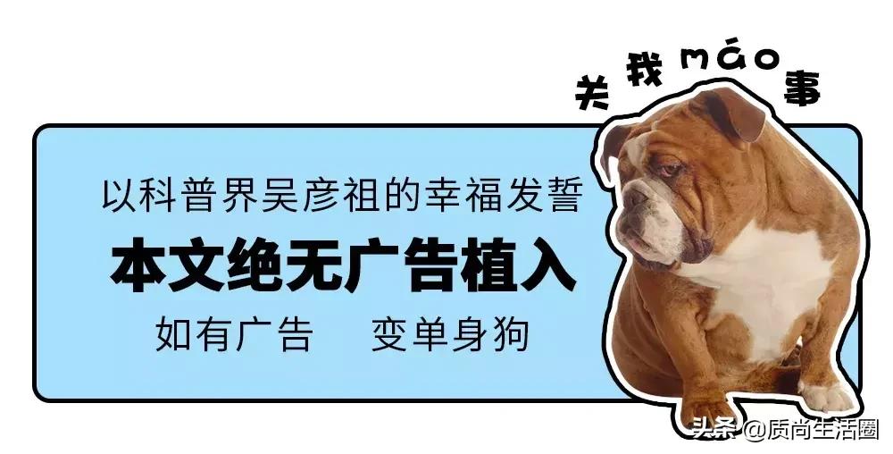 优衣库保暖内衣效果测评,优衣库和迪卡侬保暖内衣哪款好