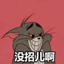 养猫就是抓老鼠吗,还有多少人养猫是为了抓老鼠的