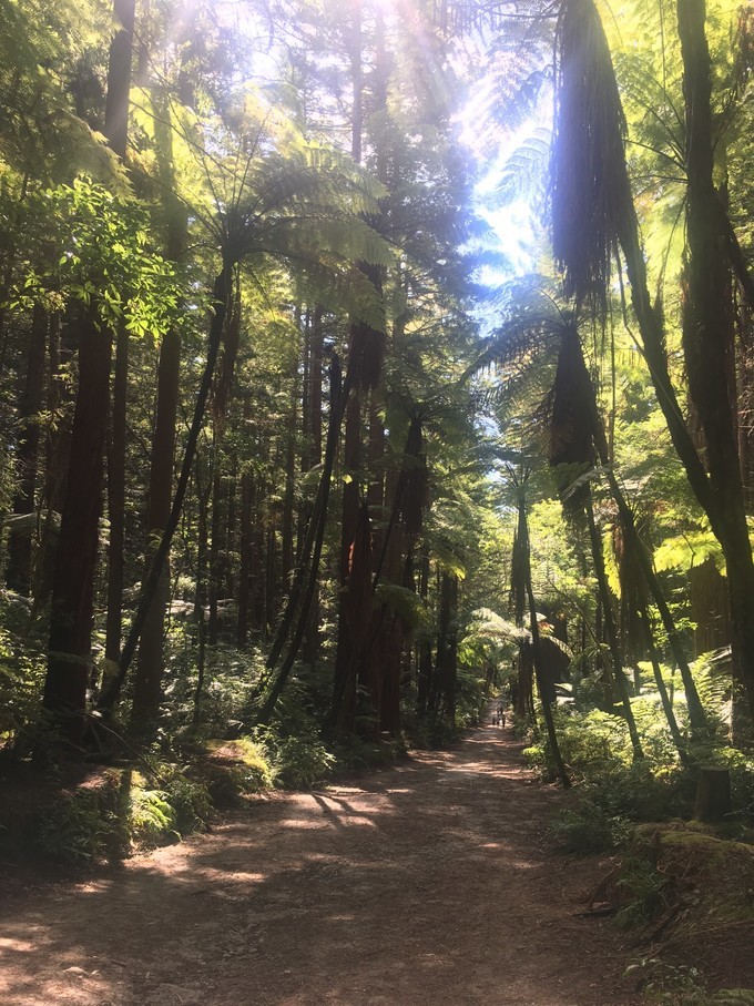 让你不出国就可以拍出欧洲即视感,让你不出家门就能看到江南的美景