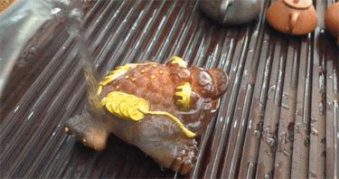 茶宠金蟾坏了会破财吗,茶宠的摆放有什么讲究和忌讳