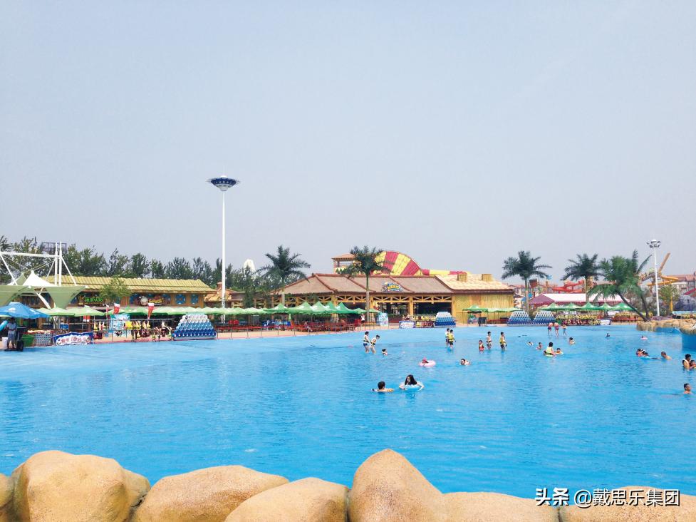 游泳池知识大全,你知道泳池有多干净