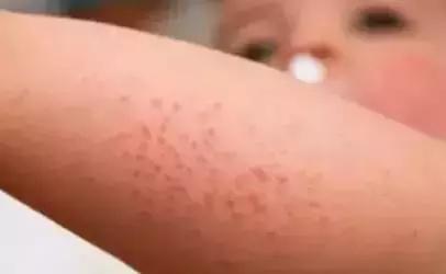 奶粉知识大合集|关于奶粉那些事，看完这篇就懂了