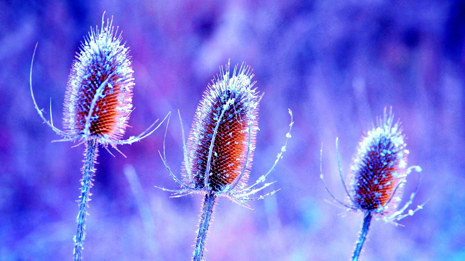 沉默是忍让而不是退缩,一个男人的忍让并不是懦弱