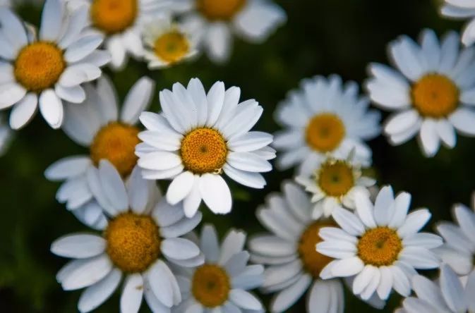 摄影景深和用光,摄影景深是什么意思