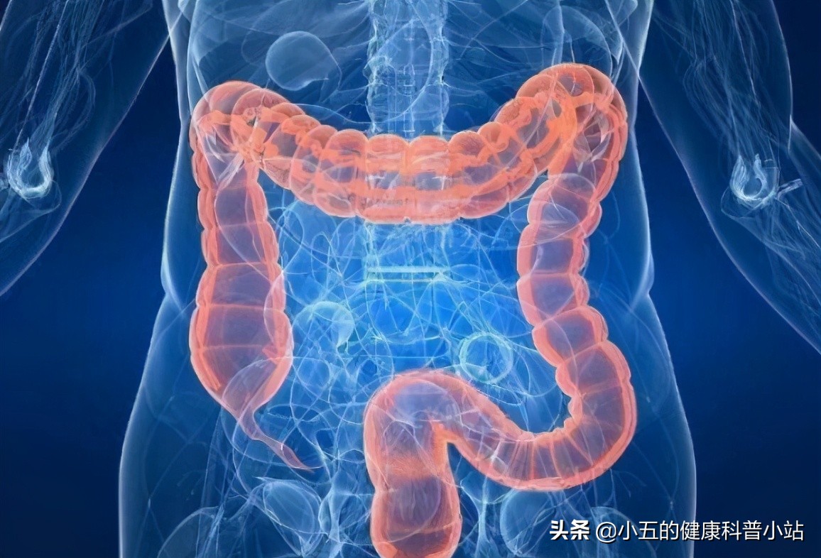 经常便秘能吃麻子仁丸吗,便秘吃麻子仁丸多久能排便