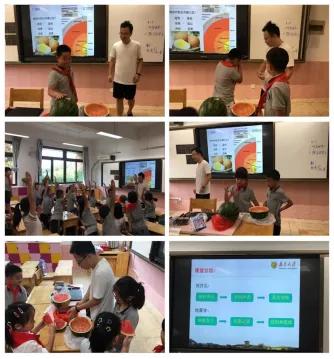 南京市金陵小学和园,南京市六合金陵小学