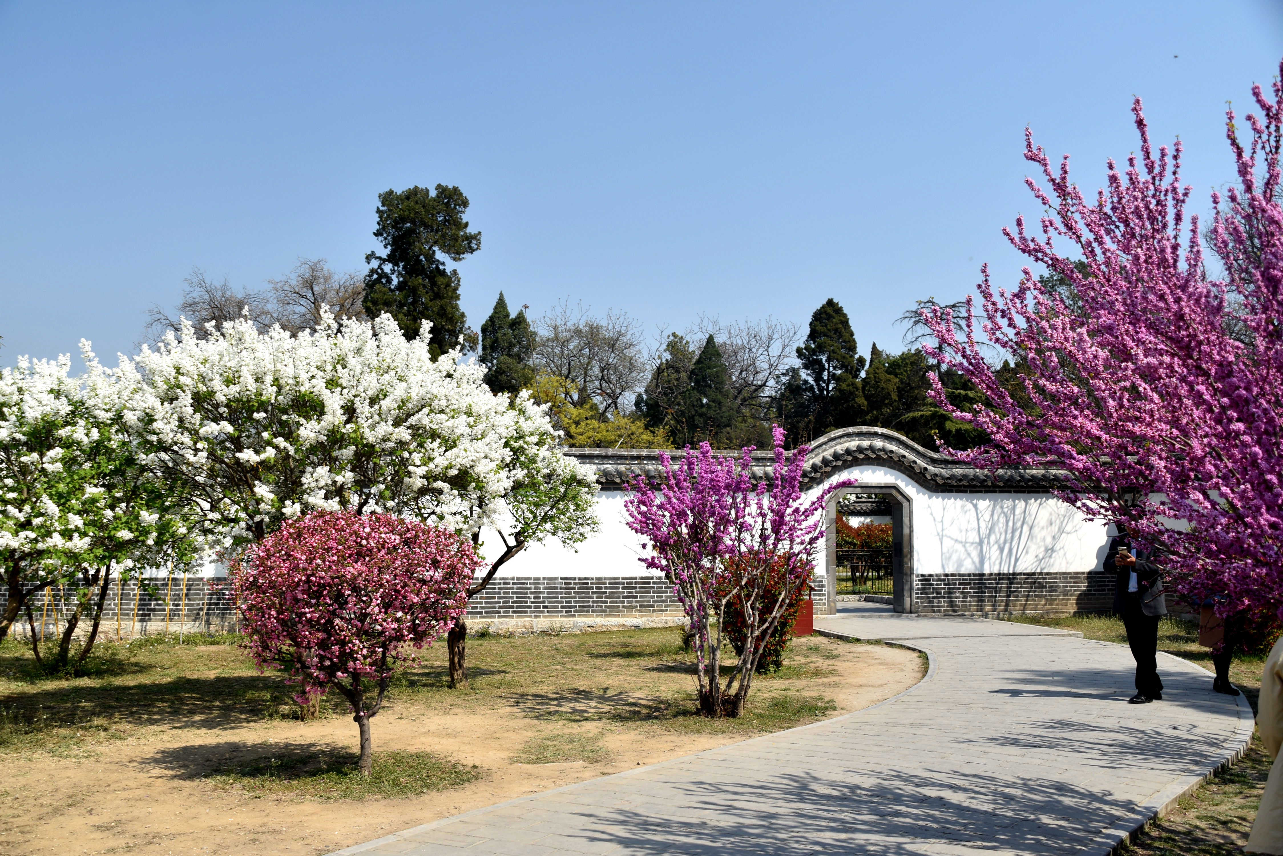 孔府里有一幅《戒贪图》,大义凛然,用心良苦,大家知道吗?