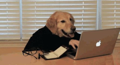 银行员工曝光银行工资单,银行人晒工资收入的视频