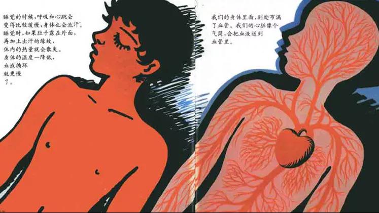 小心着凉绘本故事视频,有声绘本故事企鹅