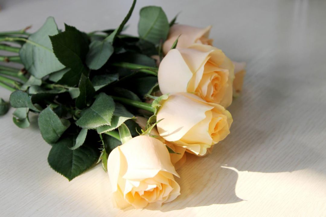 价格比同行便宜怎么盈利,价格比同行低怎么盈利