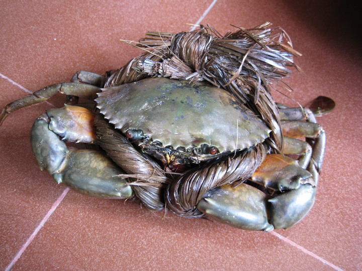 海南特色美食万宁,海南万宁的特产