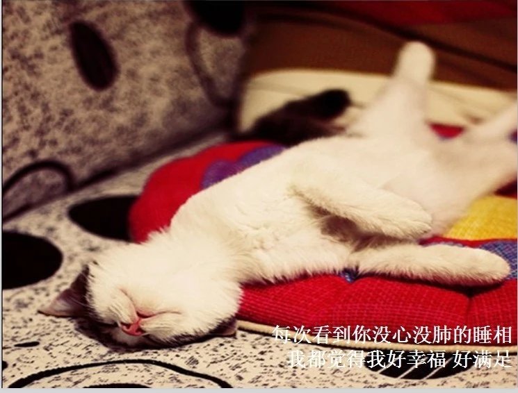 我只想说声爱你,只想再爱你一次