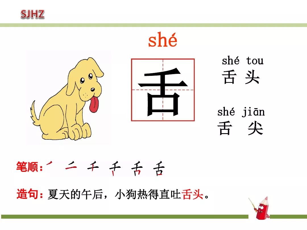 一年级下动物王国开大会知识点,一年级下册动物王国复习