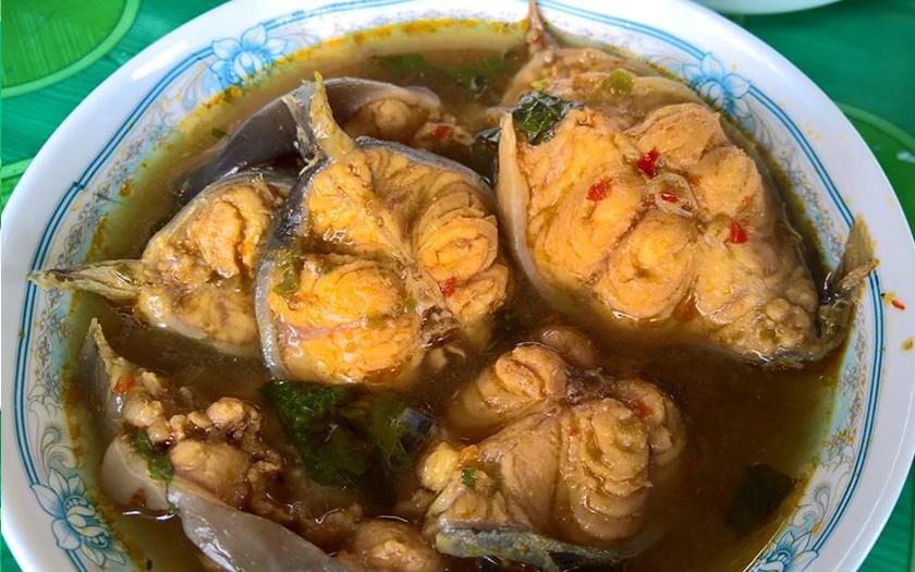 红尾鲶厉害吗,李大毛钓红尾鲶