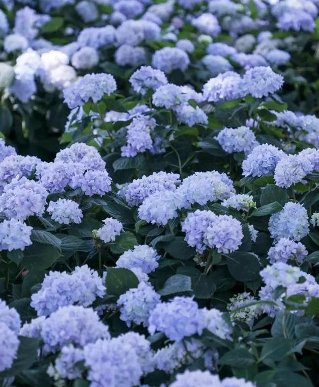 昆明周边一日游最值得去的地方,昆明周边一日游的地方推荐