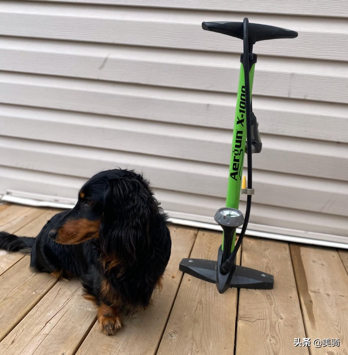 落地式打气筒推荐,打气筒买什么打气嘴耐用