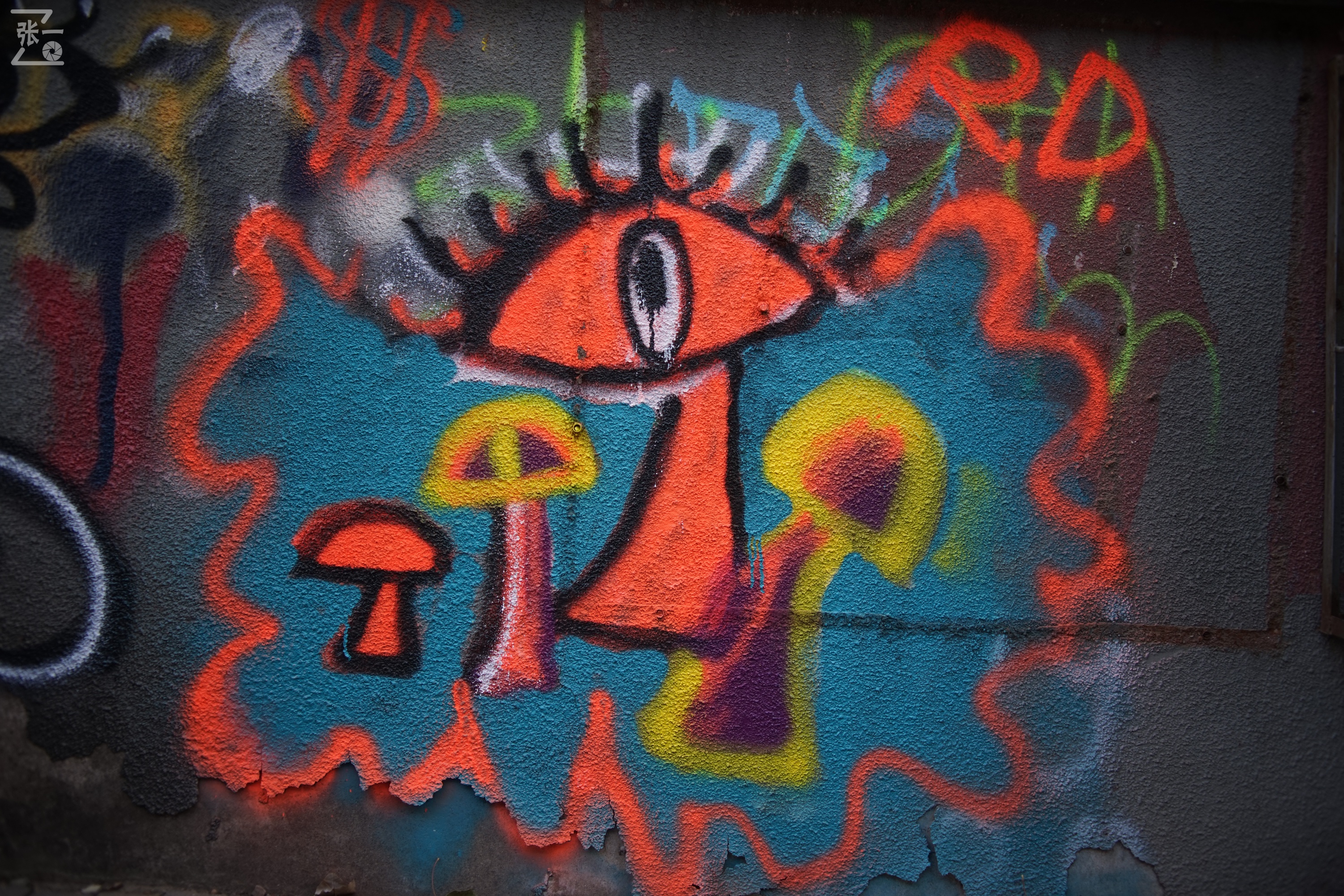 国产中一光学35/2镜头+索尼微单实拍北京798艺术区