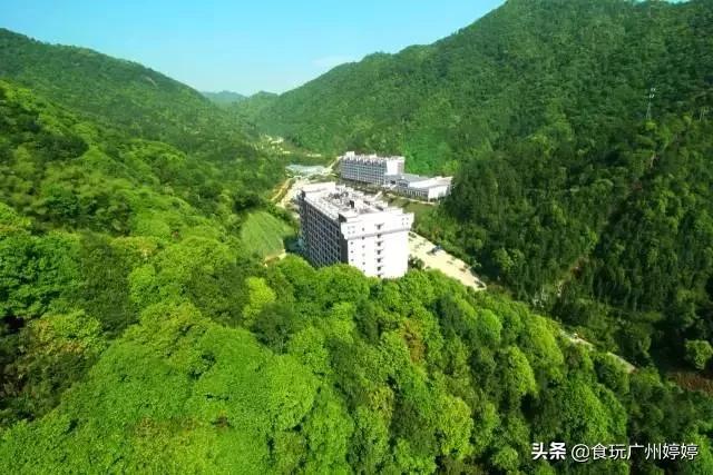 新丰云天海原始森林温泉订房,新丰云天海度假