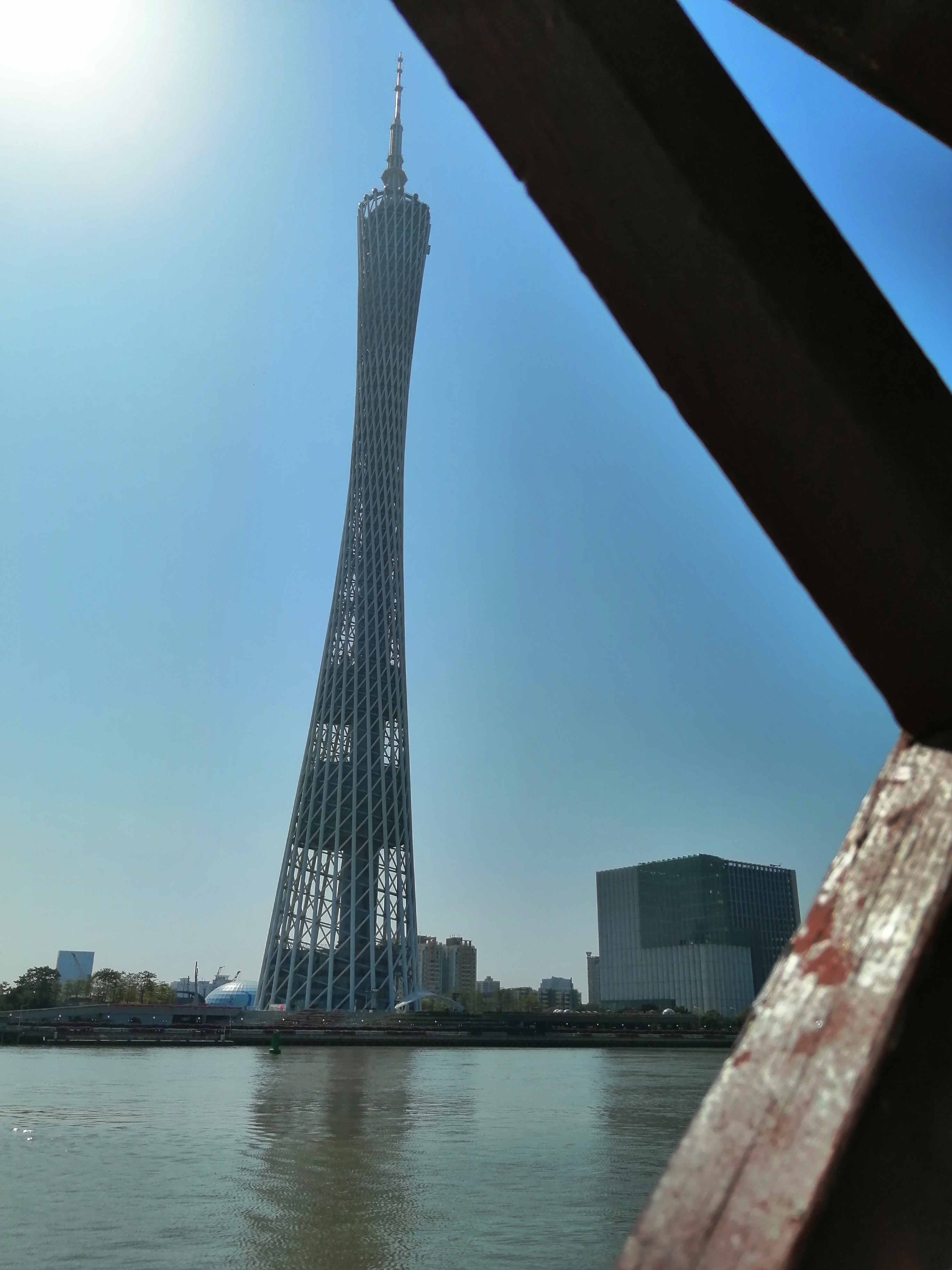 广州海心沙亚运公园广州塔格桑花,游广州海心沙公园