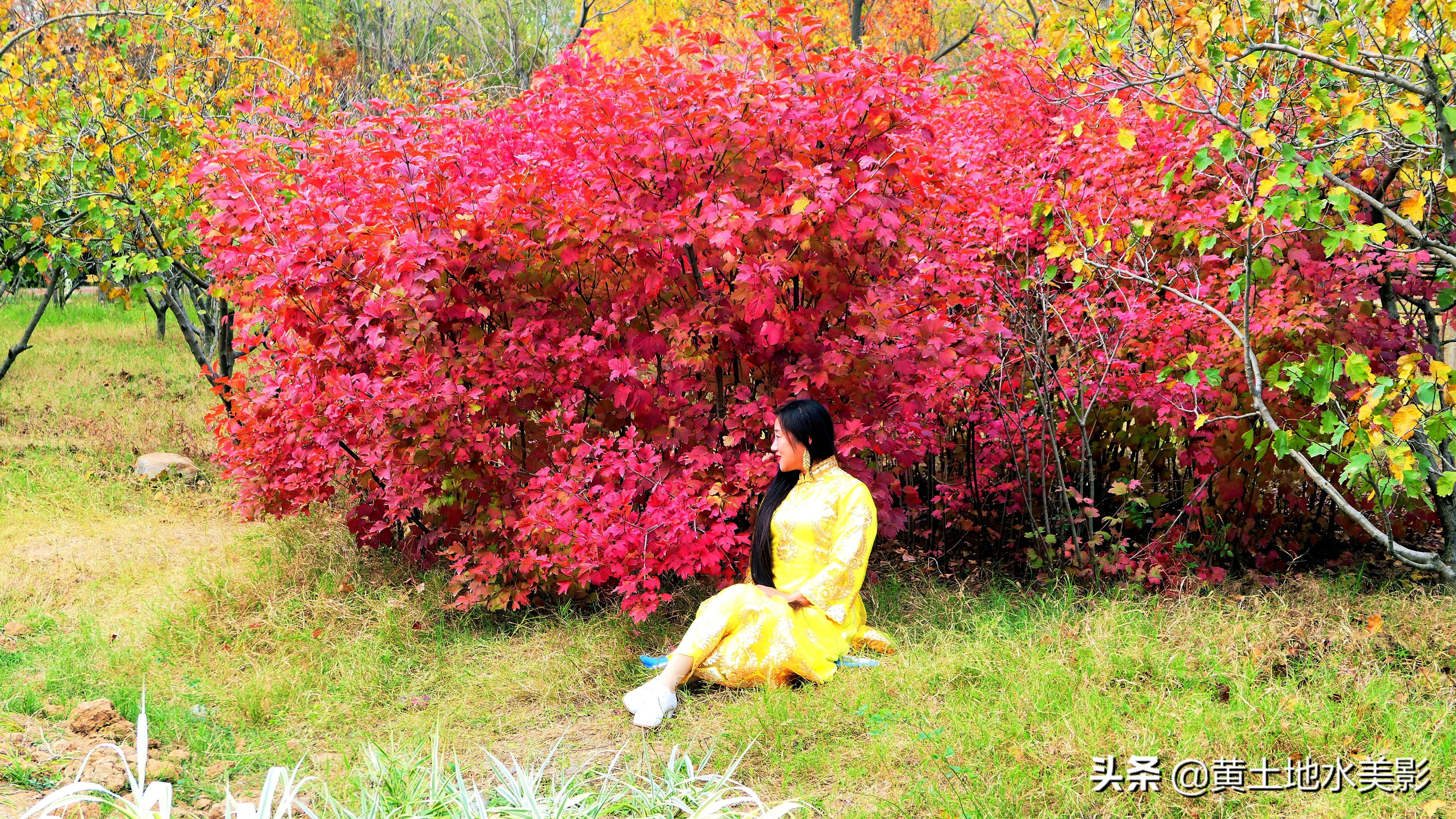 占地590亩的湿地公园,野生动物比较多的旅游景区