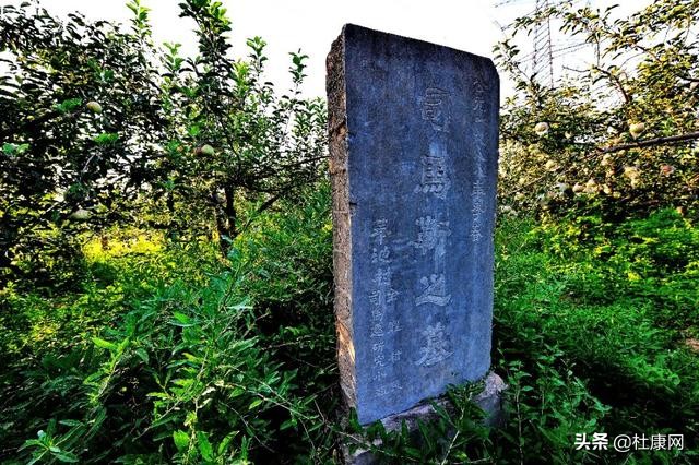 别争了,韩城十大名人司马迁