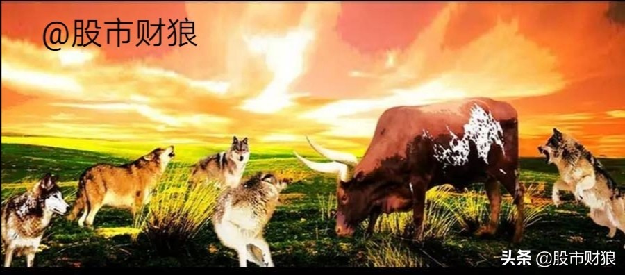 中小盘股票怎样选股,怎样选绩优中长线股