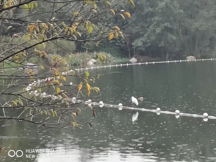 深秋的私语,美文美图经典欣赏