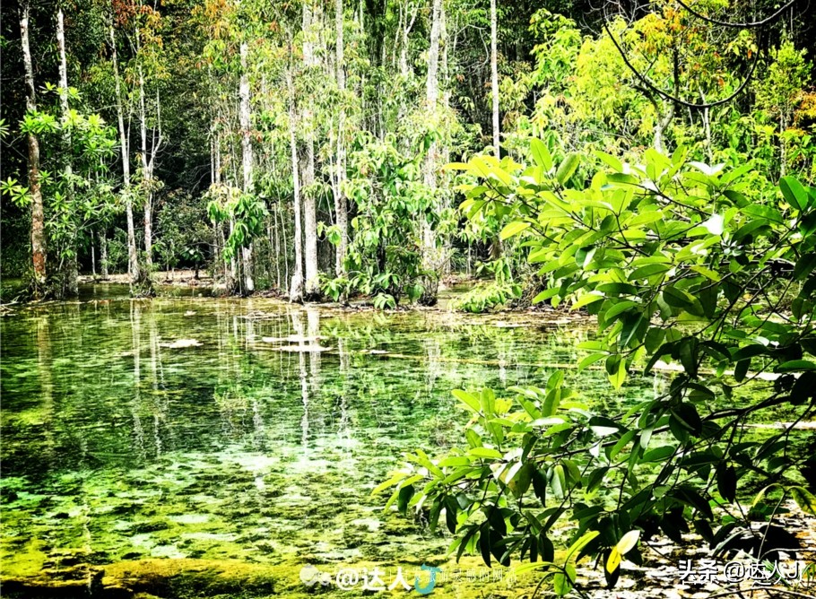 泰国旅游泳池,泰国最美的游泳池
