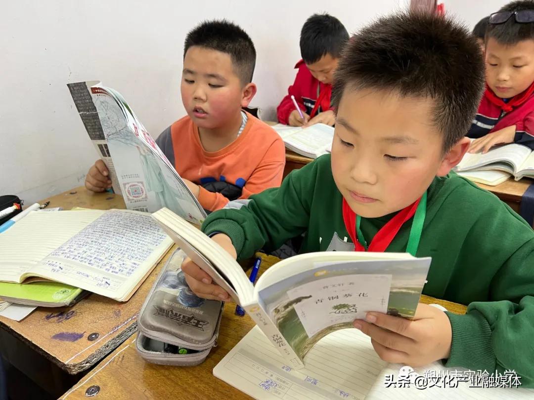 小学双减政策下的高效课堂,小学双减课堂教学提质增效