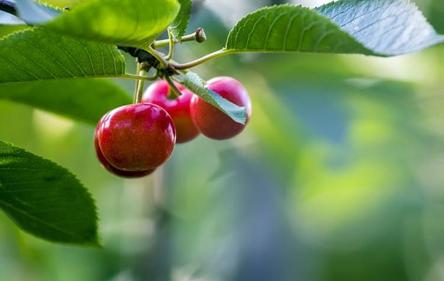 足球励志精辟感言,足球创新创业好点子