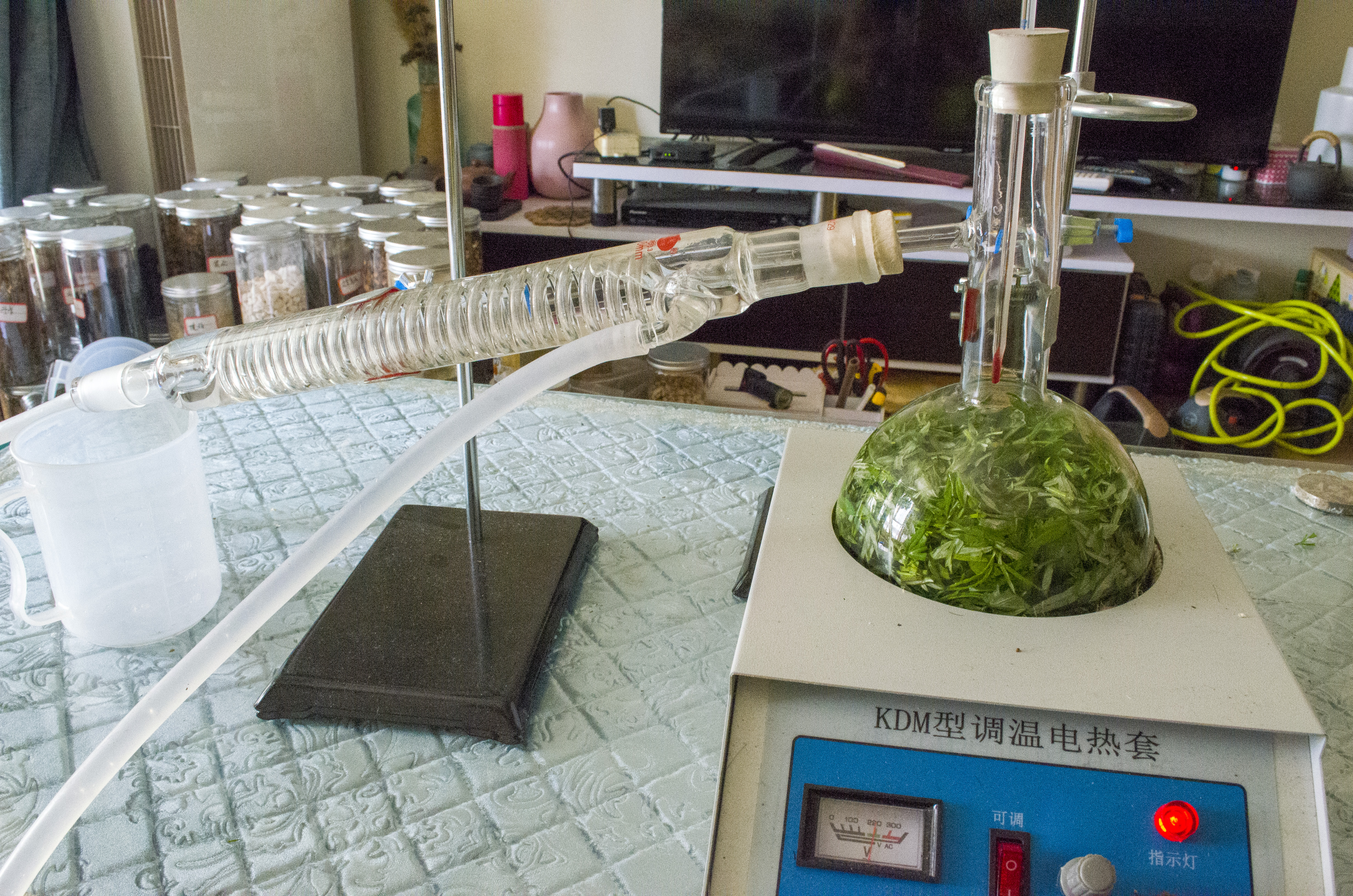 艾草家庭必备居家好物,艾草的清新生活